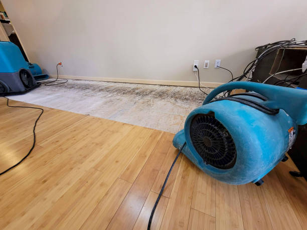 Professional Basement Flood Cleanup technician working in Doyle, TN